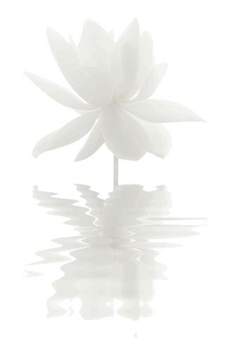 https://www.pinterest.com/pin/308918855675486480/